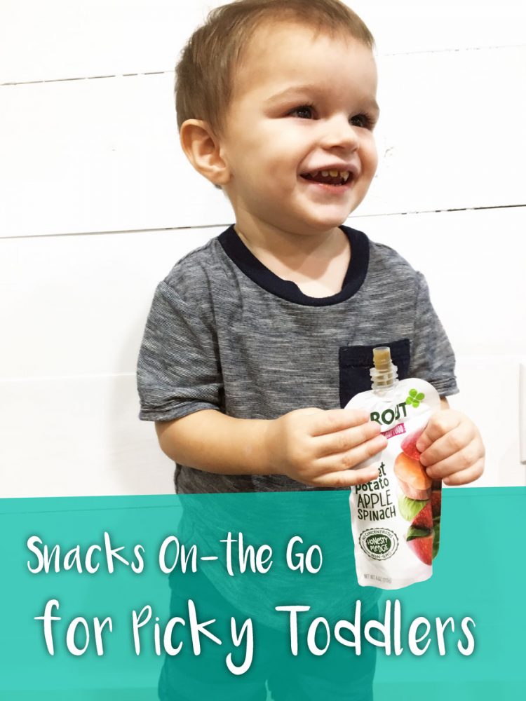 Healthy snacks on the go for picky toddlers!