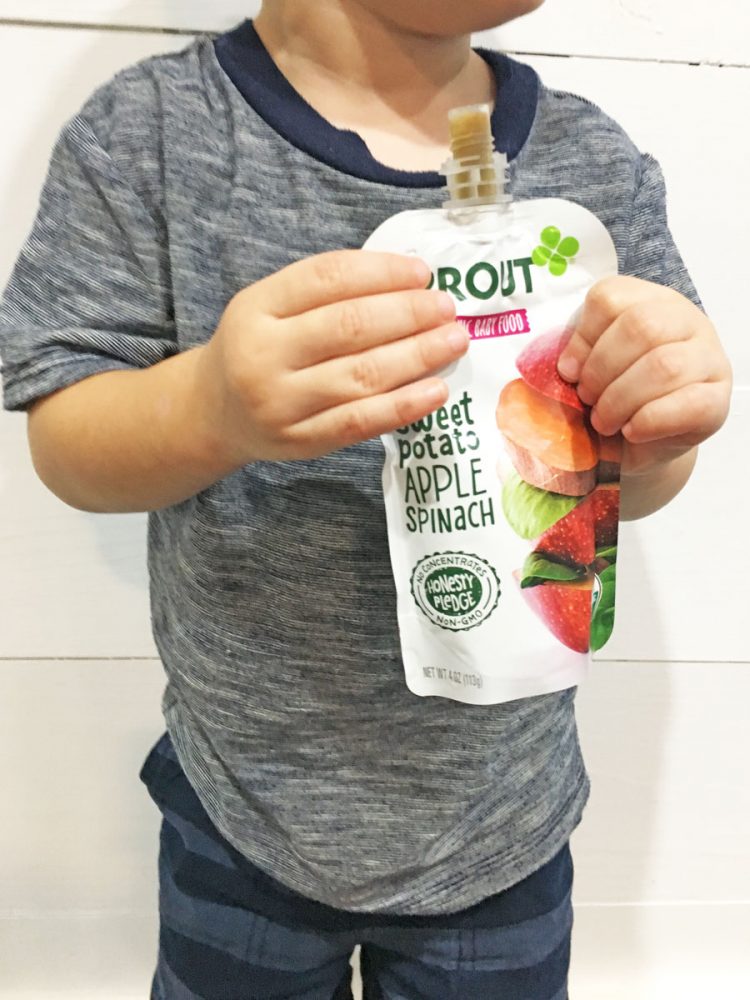 Healthy snacks on the go for picky toddlers!